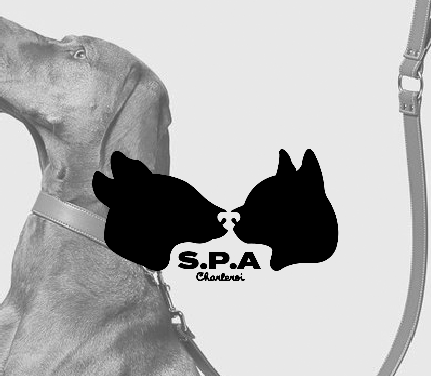 S.P.A CHARLEROI - LOGO FICTIF