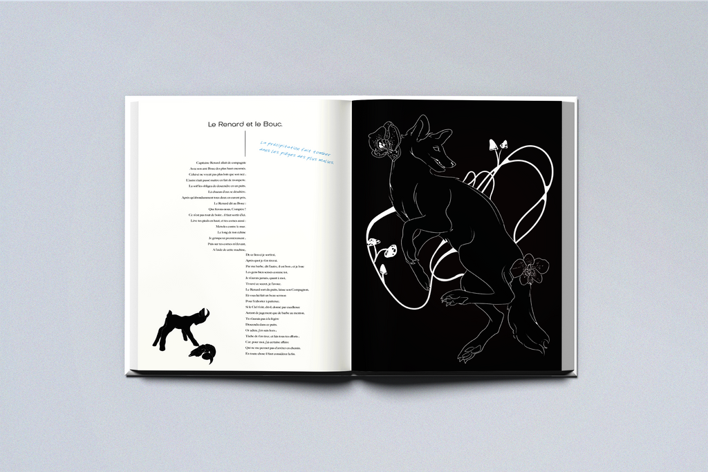 LIVRE - FABLES DE LA FONTAINE